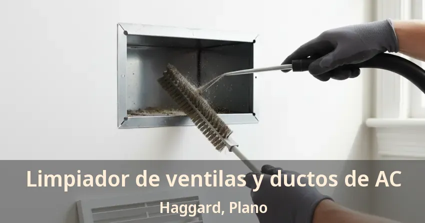 Limpiador de ventilas y ductos de AC Haggard, Plano - TX