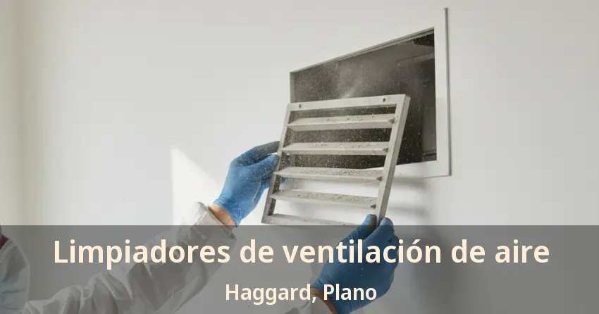 Limpiadores de ventilación de aire Haggard, Plano - TX
