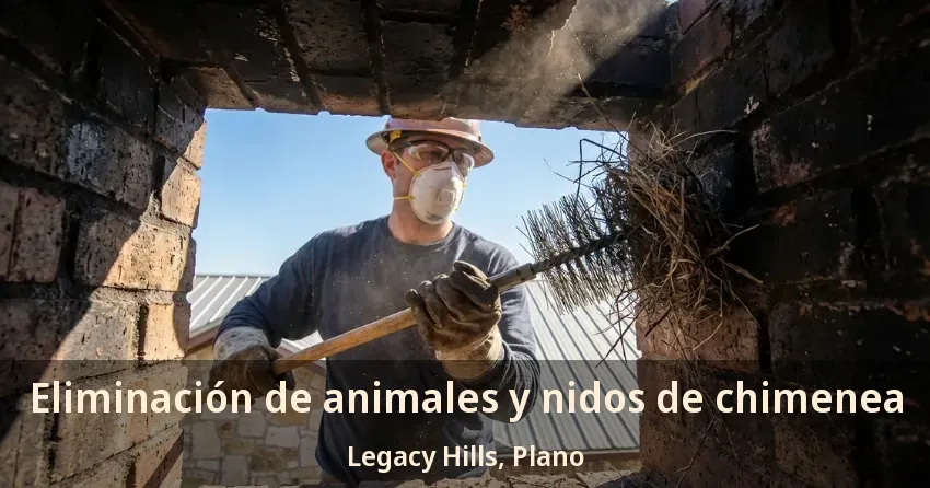 Eliminación de animales y nidos de chimenea Legacy Hills, Plano - TX