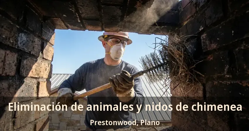Eliminación de animales y nidos de chimenea Prestonwood, Plano - TX