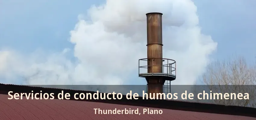 Servicios de conducto de humos de chimenea Thunderbird, Plano - TX Servicios de conducto de humos de chimenea Thunderbird, Plano - TX