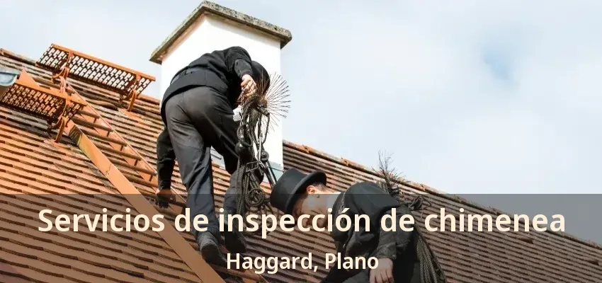 Servicios de inspección de chimenea Haggard, Plano - TX