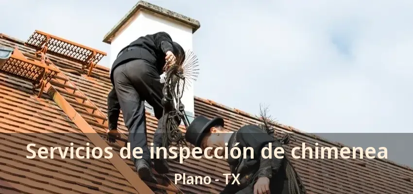 Servicios de inspección de chimenea Plano - TX