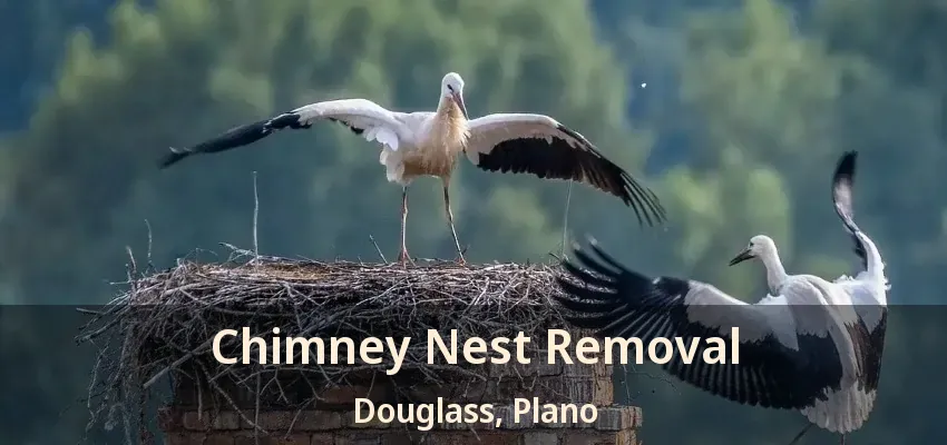 Chimney Nest Removal Douglass, Plano - TX