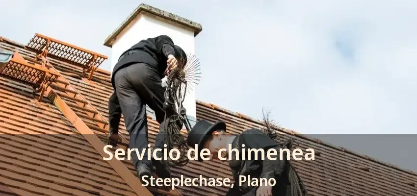Servicio de chimenea Steeplechase, Plano - TX