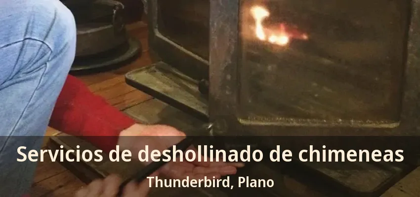 Servicios de deshollinado de chimeneas Thunderbird, Plano - TX