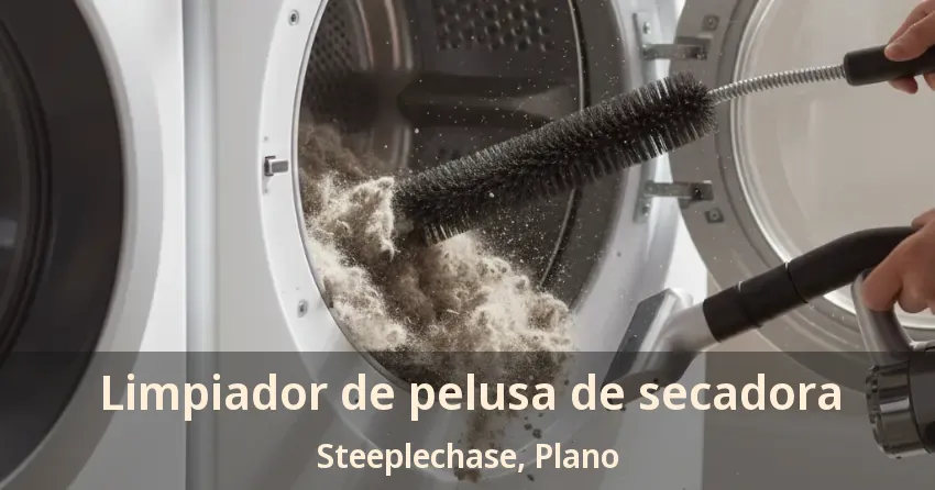 Limpiador de pelusa de secadora Steeplechase, Plano - TX