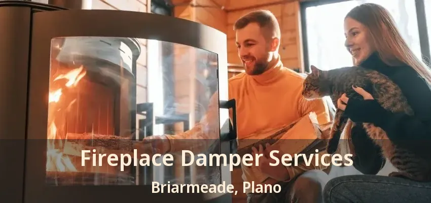 Fireplace Damper Services Briarmeade, Plano - TX