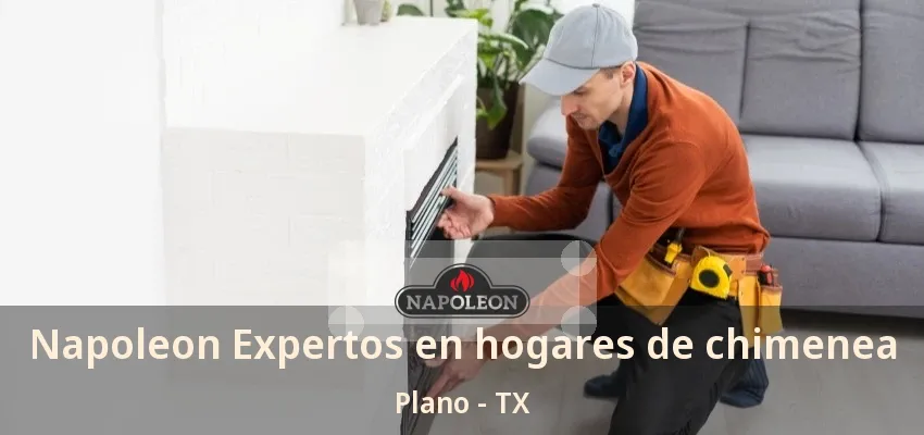 Napoleon Expertos en hogares de chimenea Plano - TX