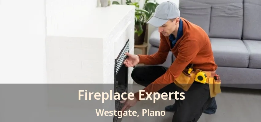 Fireplace Experts Westgate, Plano - TX