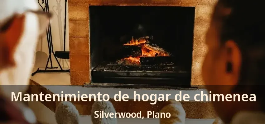 Mantenimiento de hogar de chimenea Silverwood, Plano - TX Mantenimiento de hogar de chimenea Silverwood, Plano - TX
