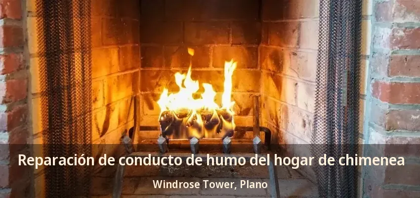 Reparación de conducto de humo del hogar de chimenea Windrose Tower, Plano - TX