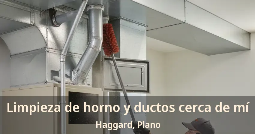 Limpieza de horno y ductos cerca de mí Haggard, Plano - TX