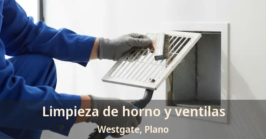 Limpieza de horno y ventilas Westgate, Plano - TX Limpieza de horno y ventilas Westgate, Plano - TX