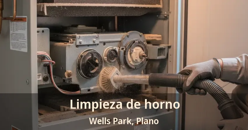 Limpieza de horno Wells Park, Plano - TX
