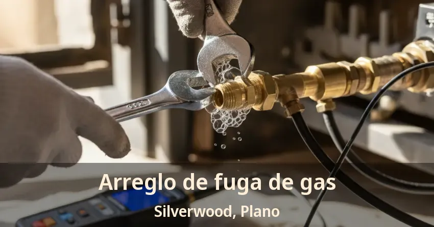 Arreglo de fuga de gas Silverwood, Plano - TX