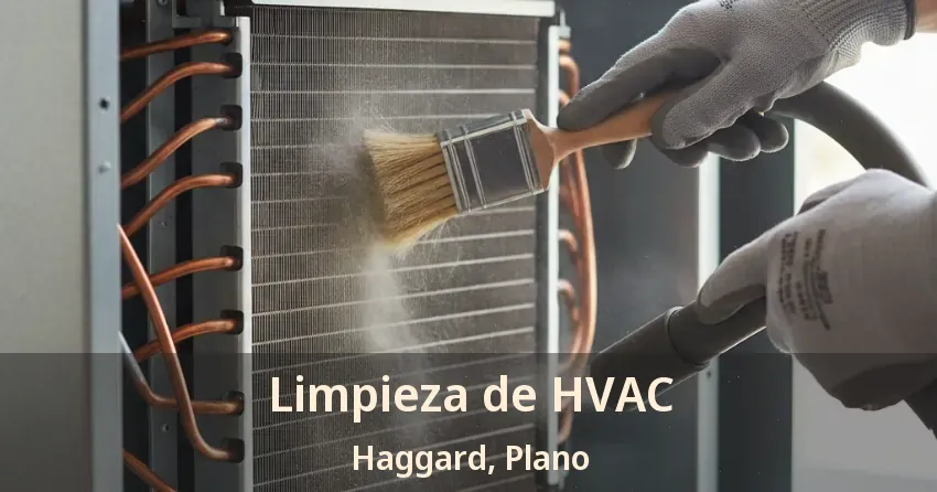 Limpieza de HVAC Haggard, Plano - TX