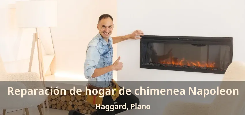 Reparación de hogar de chimenea Napoleon Haggard, Plano - TX Reparación de hogar de chimenea Napoleon Haggard, Plano - TX