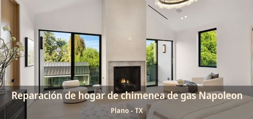 Reparación de hogar de chimenea de gas Napoleon Plano - TX